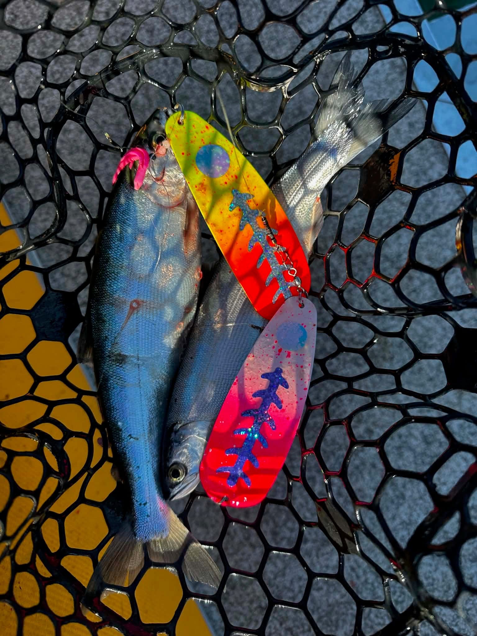 Wallowa Glow